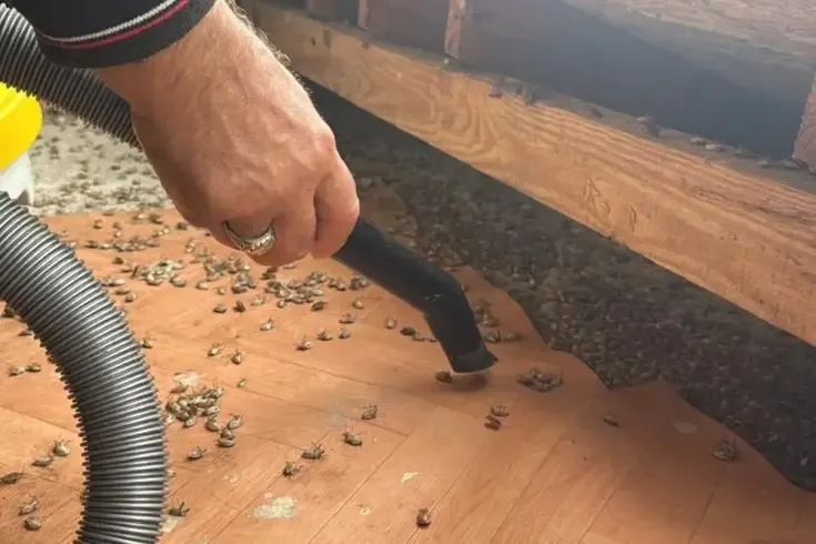 Artık tüm Türkiye