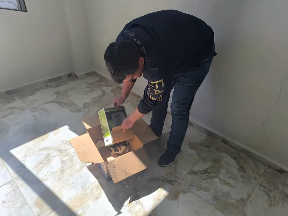 Siirt Baykan Belediyesi’nden Örnek Davranış: Yaralı Kedi Koruma Altına Alındı