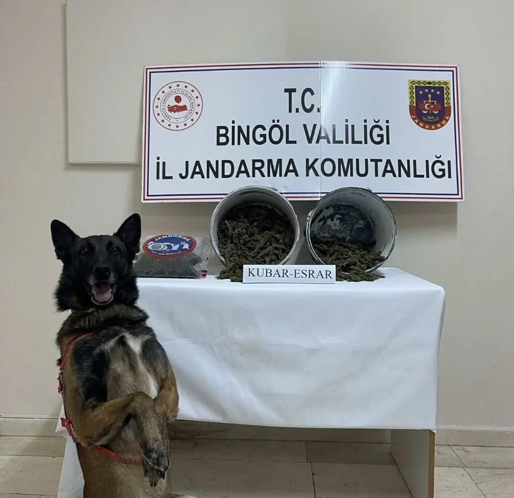 Bingöl’de 2 kilo esrar ele geçirildi: 1 tutuklama 