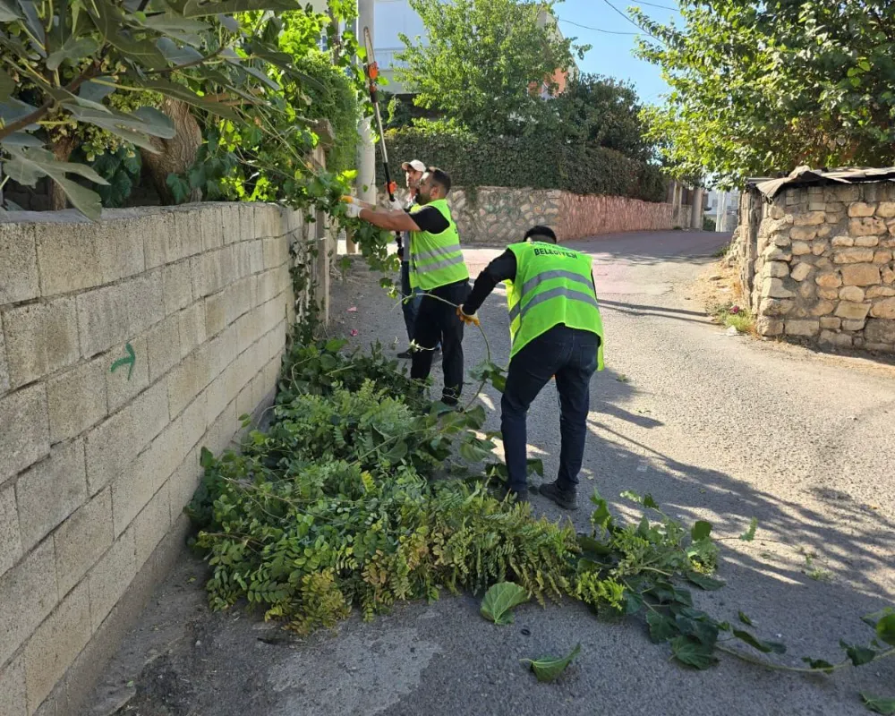 Siirt Kurtalan Belediyesi’nden Kapsamlı Ağaç Budama Çalışması