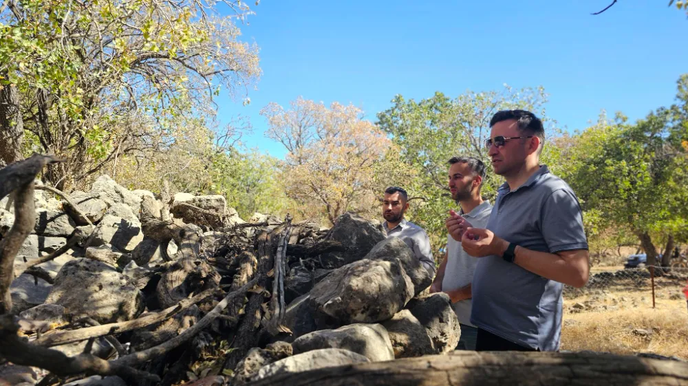 Siirt Pervari Kaymakamı  Gülderen, Geleneksel “Pire Ğavs” Etkinliğine Katıldı