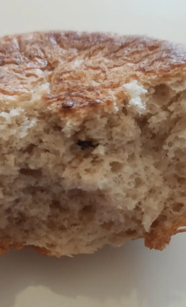 Siirt Eğitim ve Araştırma Hastanesi Yemekhanesinde Skandal: Ekmekten Böcek Çıktı