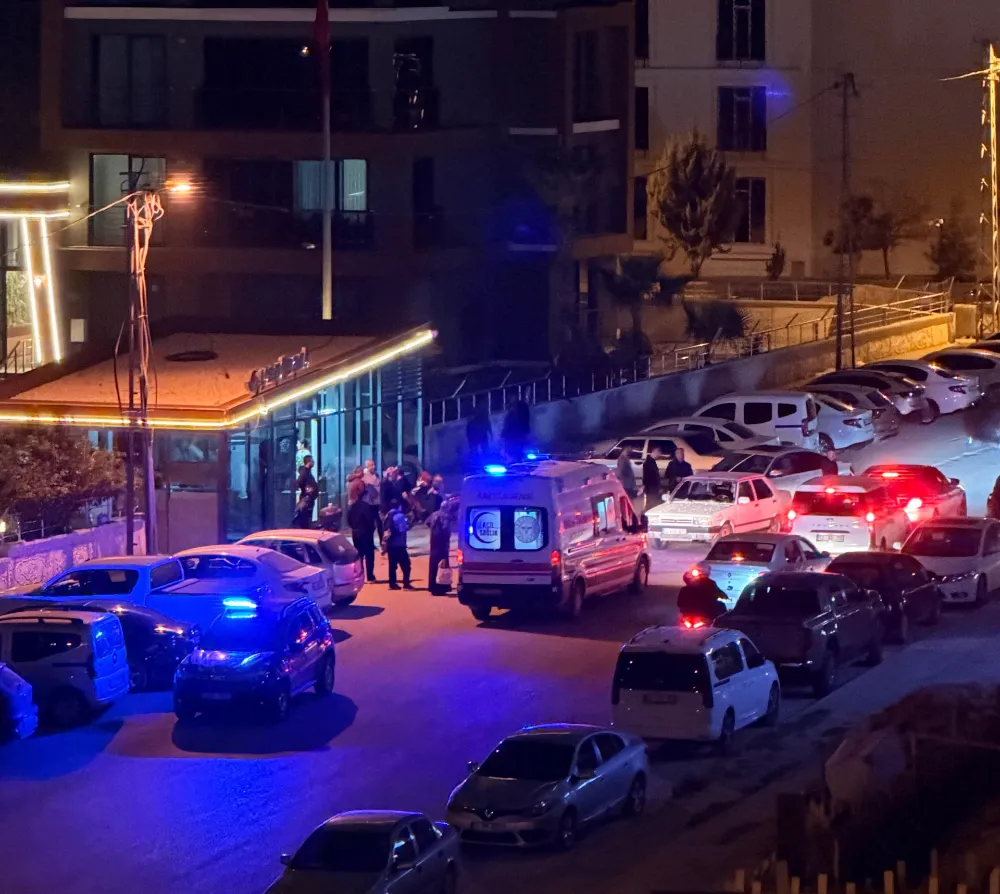 Otomobilin çarpıştığı 2 yaya yaralandı