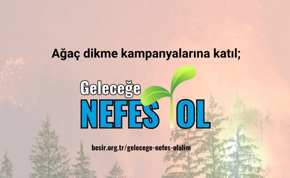 Beşir Derneği’nden Geleceğe Nefes: Her Yıl 100 Bin Fidan Toprakla Buluşuyor