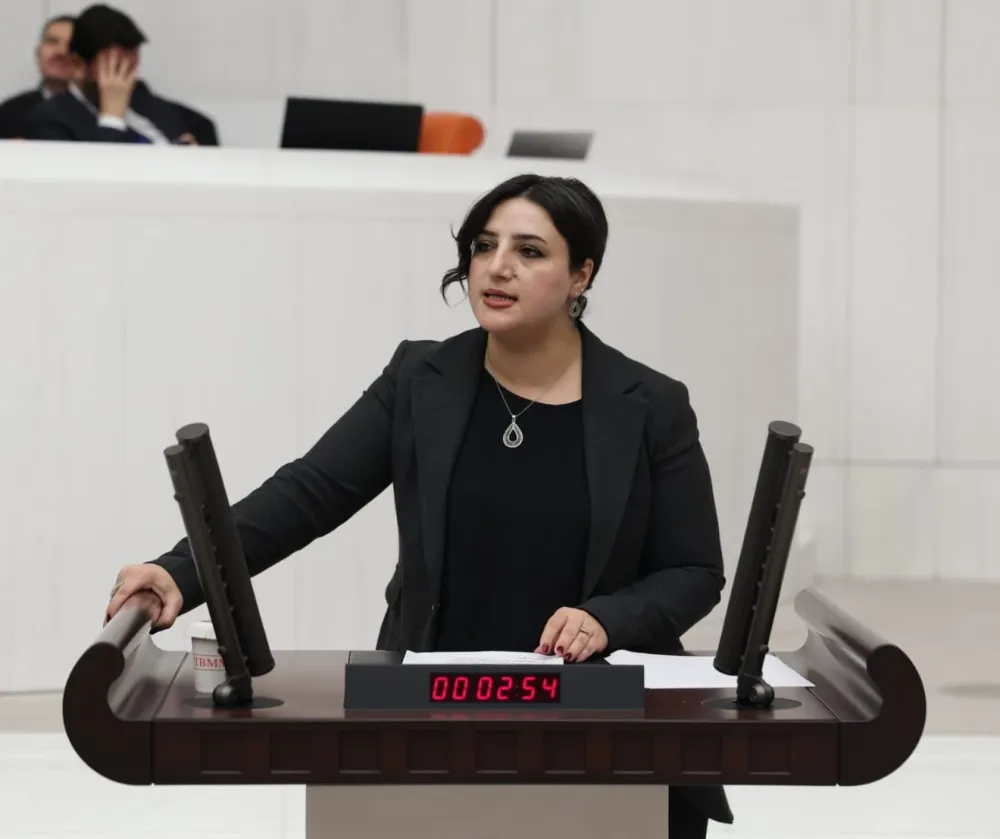Siirt Milletvekili Sarıtaş’tan 2026 Bütçe Görüşmelerinde Gençlik Sorunları Vurgusu