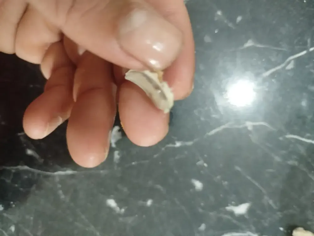 Siirt’te Şok Olay: Ekmekten Cam Parçası Çıktı! Vatandaşlar Tepkili, Denetimler Sıkılaşacak