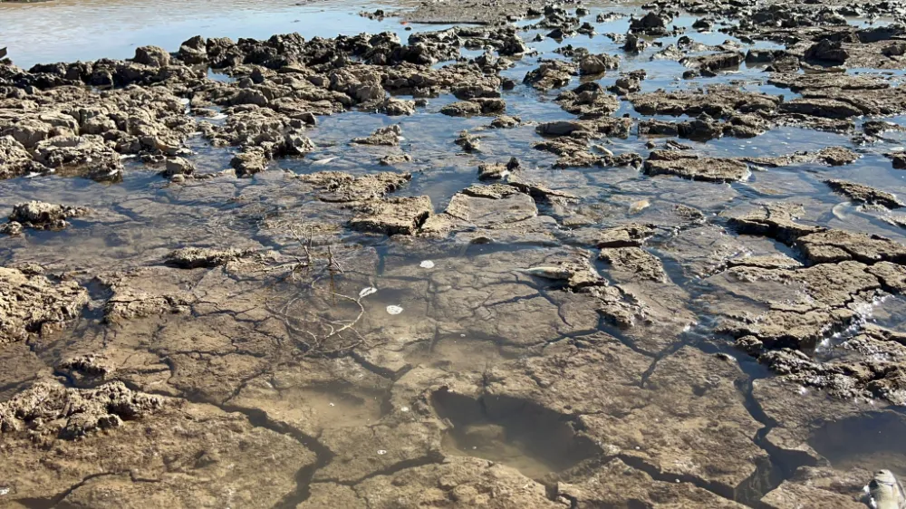 Siirt’te balık teleflerine karşı gölete 150 tonluk su takviyesi