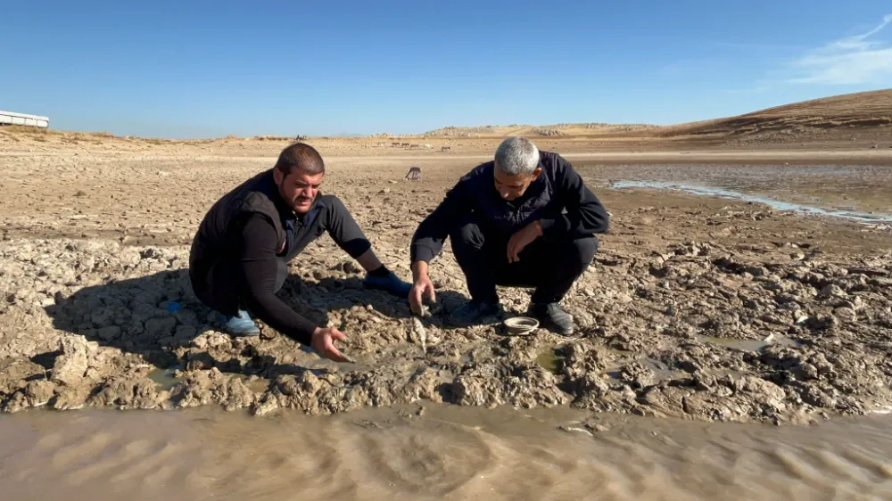 Doğaya Duyarlı Müdahale: Kurtalan Belediyesi, Çayırlı Göleti’nde Mahsur Kalan Balıkları Kurtardı
