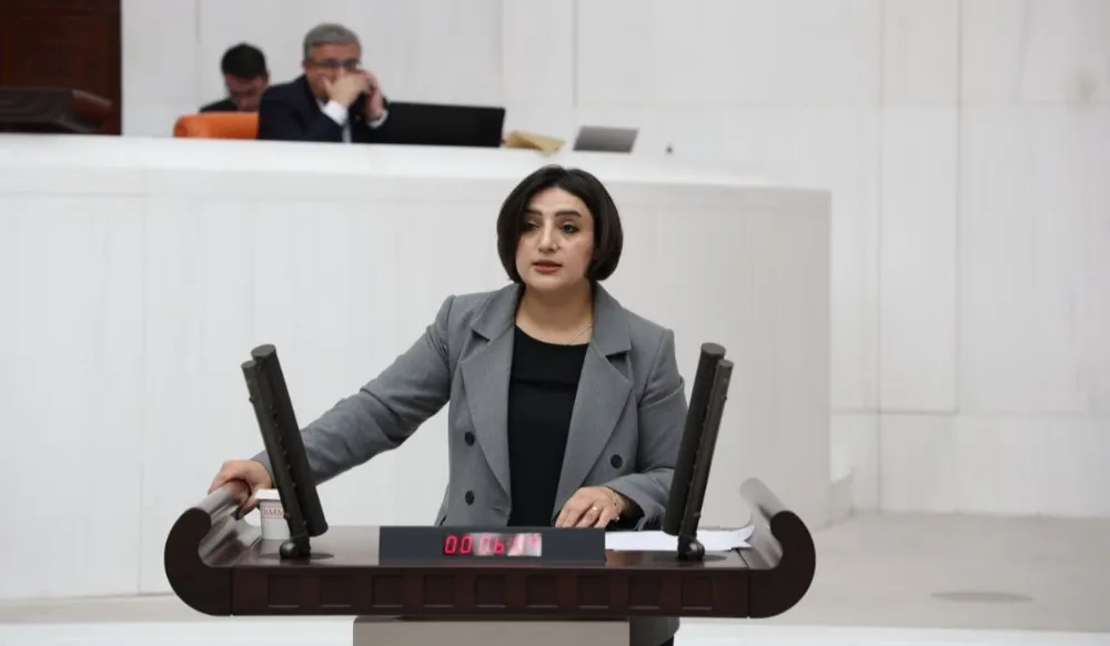 Siirt Milletvekili Sabahat Erdoğan Sarıtaş’tan Siirt’te Artan İntihar Vakalarına İlişkin Yazılı Soru Önergesi