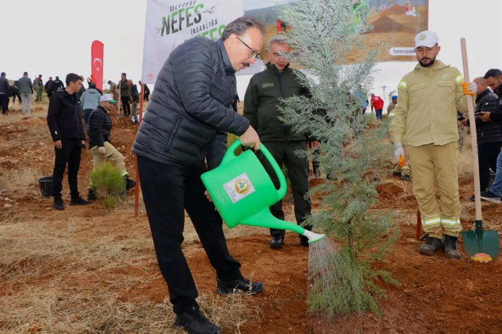 Siirt Valisi Kızılkaya’dan Yeşil Vatan Seferberliğine Davet