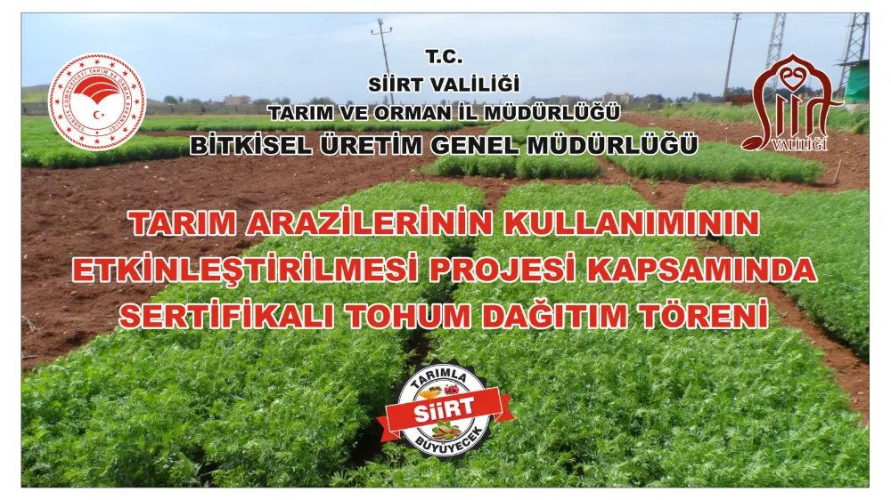 Kurtalan’da Sertifikalı Mercimek Tohumu Dağıtım Töreni Düzenlenecek