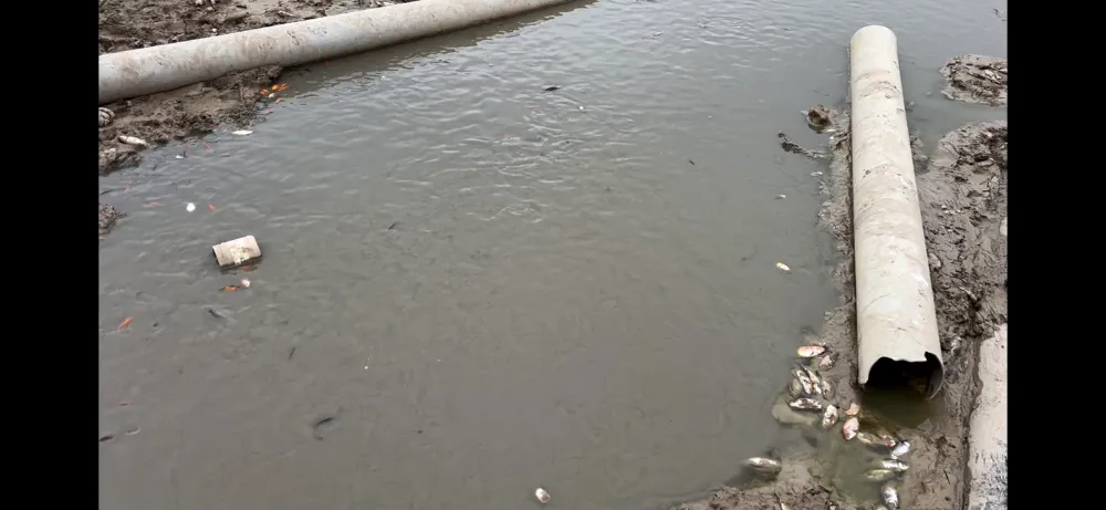 Siirt Kurtalan Belediyesi’nden Çayırlı Köyü Göletindeki Balıklara Su Takviyesi