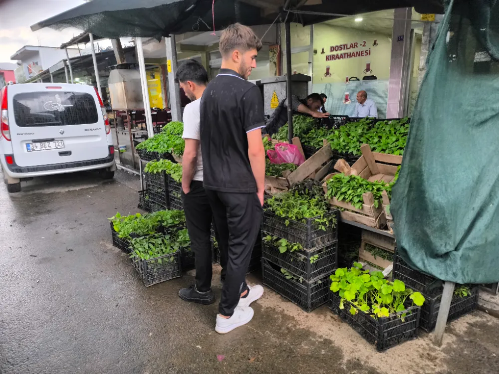Baykan’da Yaz Hazırlıkları Başladı: Domates, Biber, Patlıcan Tezgahta Yerini Aldı