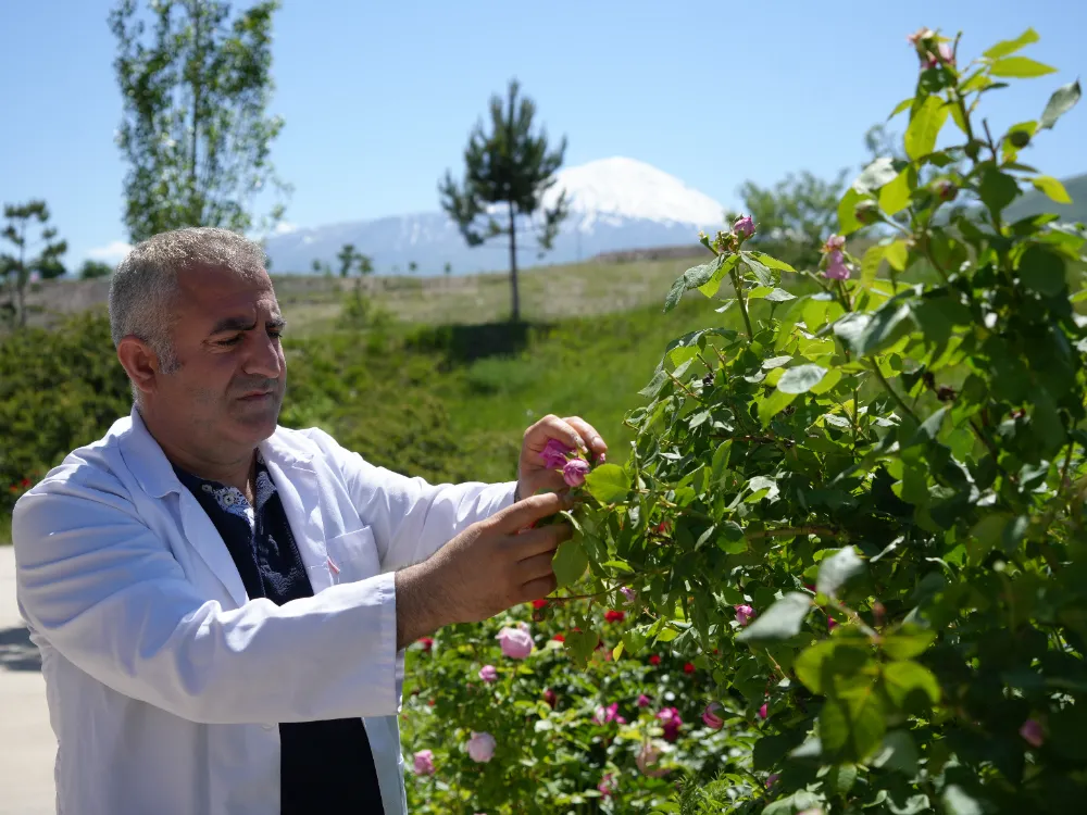Iğdır Üniversitesi