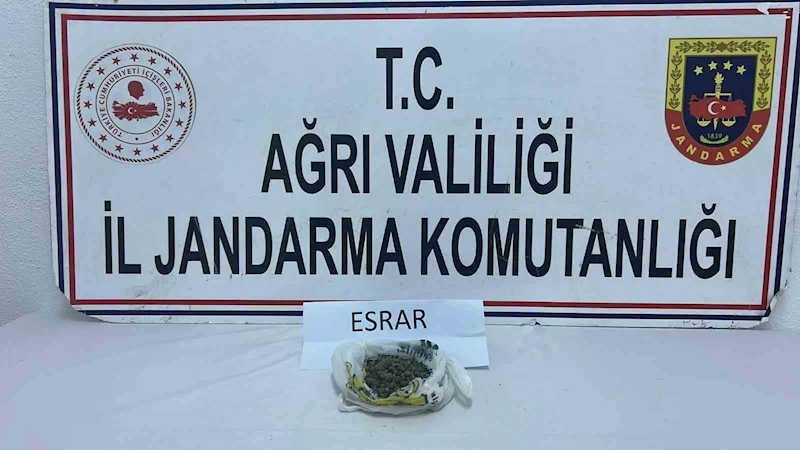 Ağrı’da uyuşturucu operasyonu: 511 kök kenevir ve 50 gram esrar ele geçirildi
