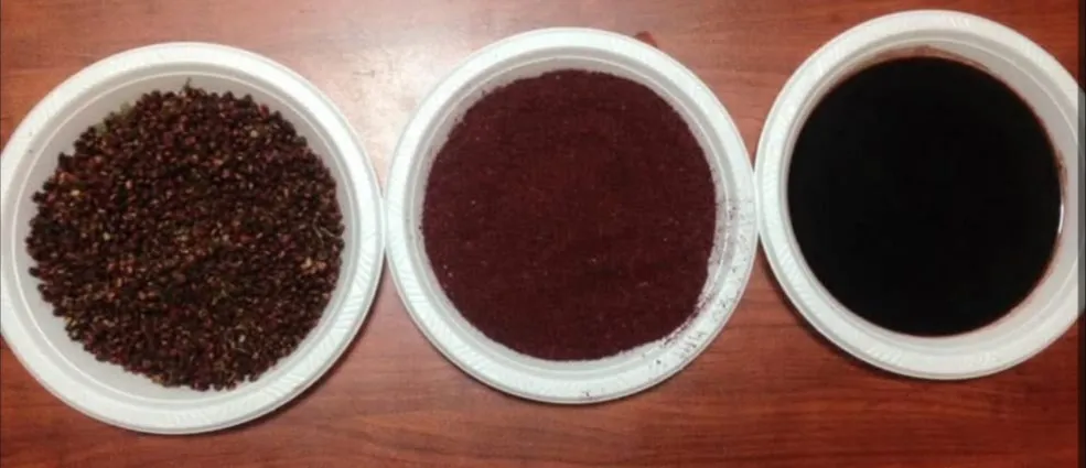 Siirt’te Bir İlk: Yabani Sumaktan Salça Üretimi Başladı