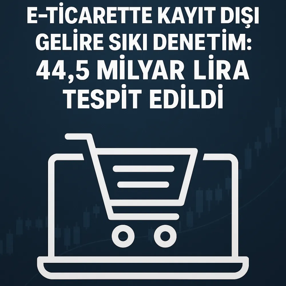 E-Ticarette Kayıt Dışı Gelire Sıkı Denetim: 44,5 Milyar Lira Tespit Edildi