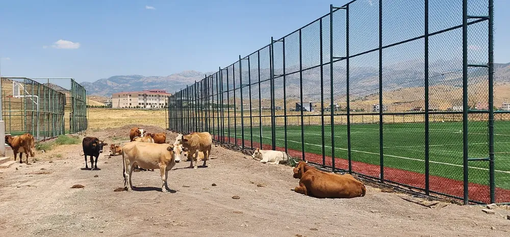 Veysel Karani’de Spor Sahası Var, Çevre Düzenlemesi Yok!