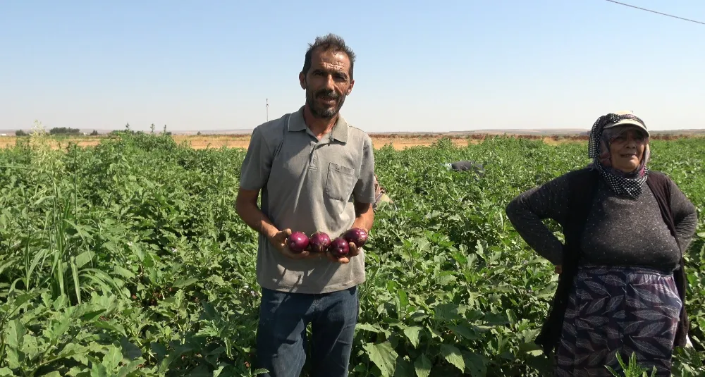 Yoldan geçen vatandaşlar için karpuz ekti