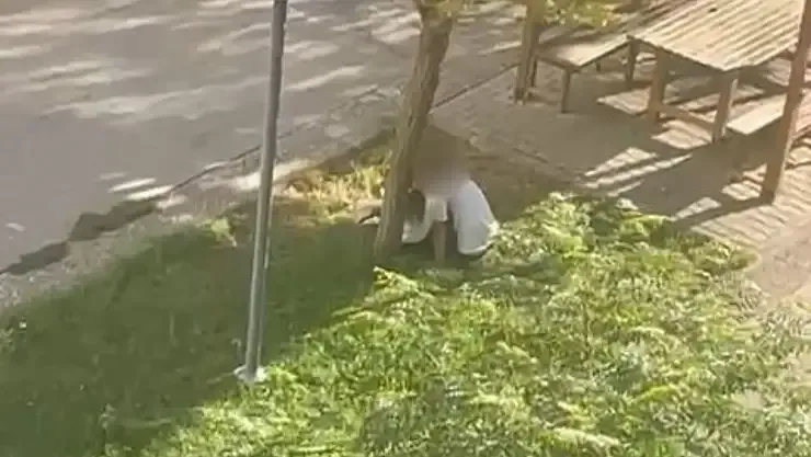 Siirt’te Parkta Çekilen Müstehcen Görüntüler Şok Etti