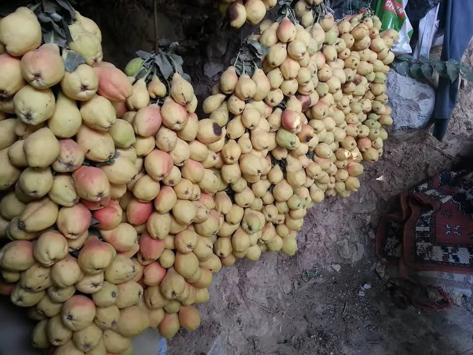Siirt’in Bereketli Topraklarında Hasat Zamanı